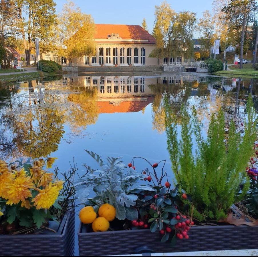 Hotel Garni Schloss Schoenberg Bad Brambach Eksteriør bilde