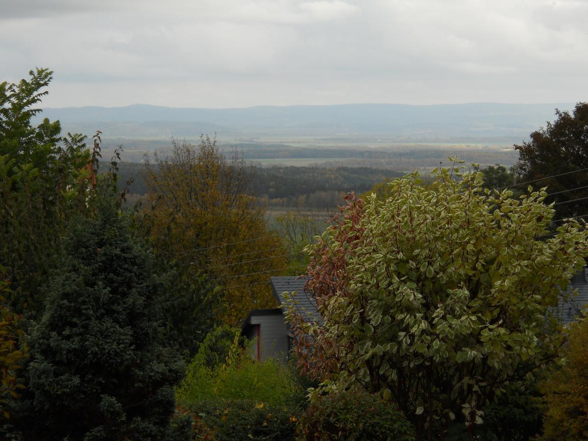 Hotel Garni Schloss Schoenberg Bad Brambach Eksteriør bilde